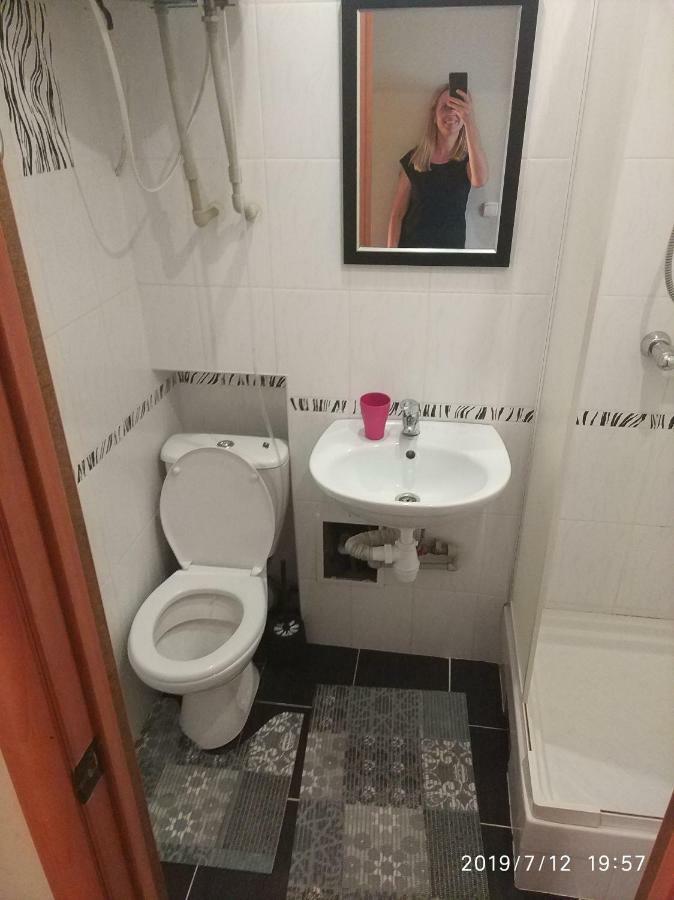 Apartment On Danyla Galytskogo 8A モルシン エクステリア 写真