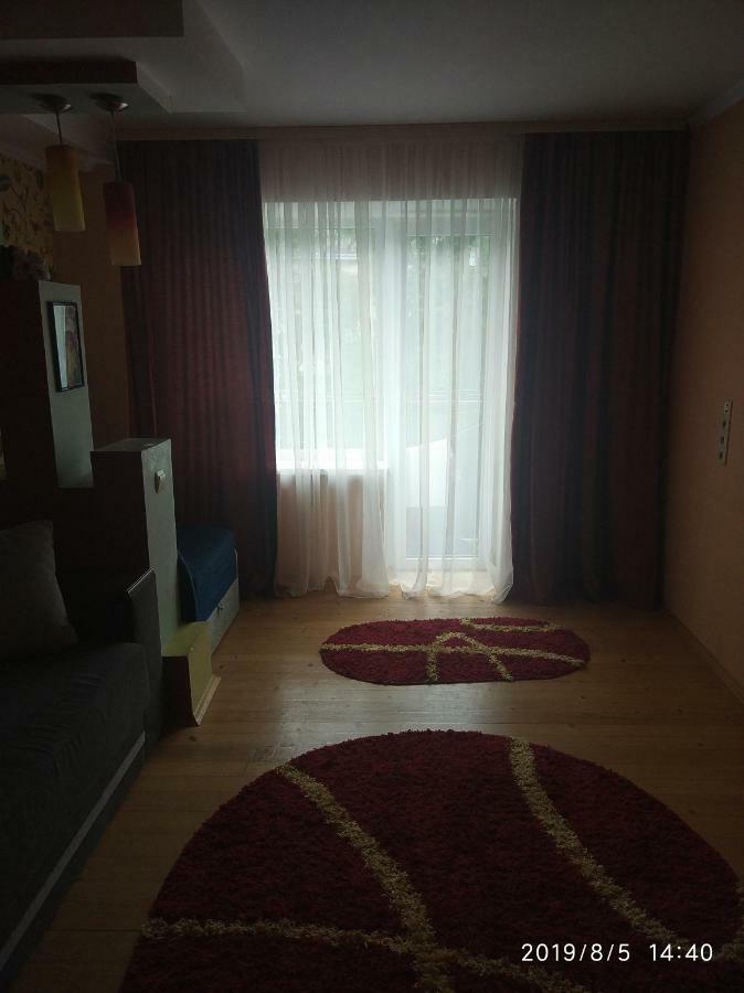 Apartment On Danyla Galytskogo 8A モルシン エクステリア 写真