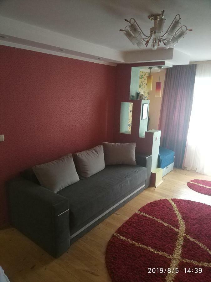 Apartment On Danyla Galytskogo 8A モルシン エクステリア 写真